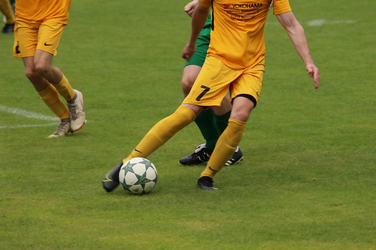 吸引了无数 吸引了无数