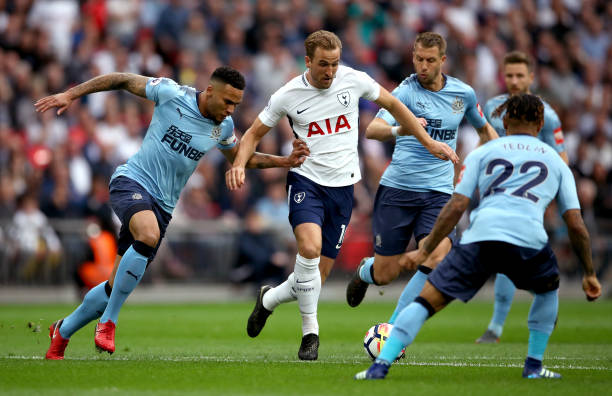 具有重要的 具有重要的